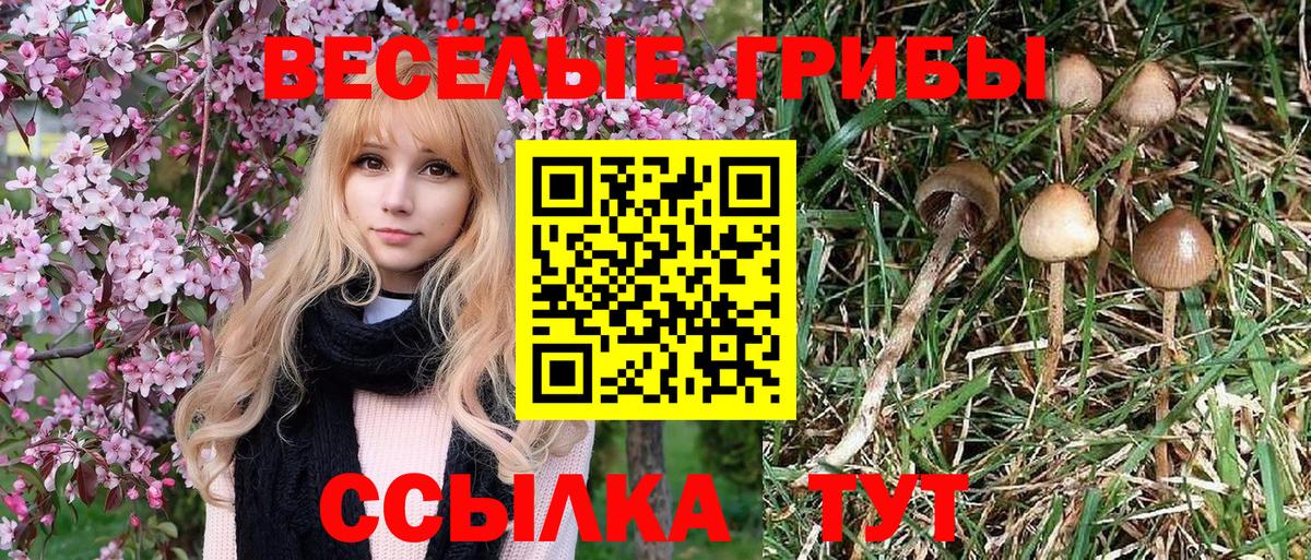 Галлюциногенные грибы прущие грибы Корсаков