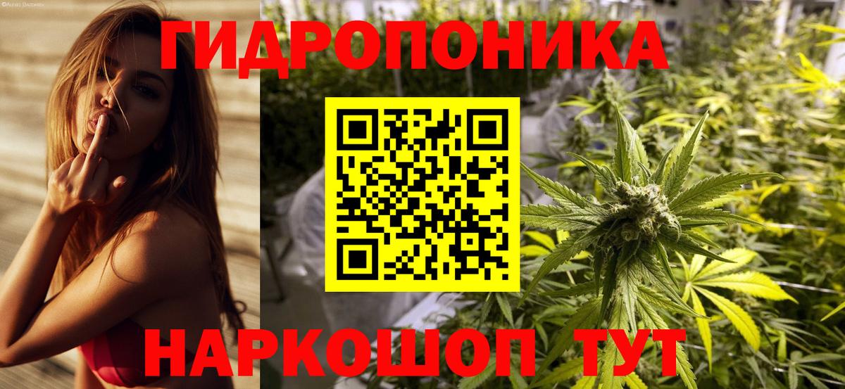 Шишки марихуана индика  МАРИХУАНА ГИДРОПОН  Корсаков  Вход с VPN  Бошки Шишки план 